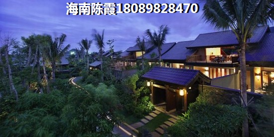 海南买房生纸潜力排行榜