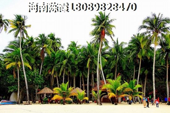海南岛房价是否会上涨