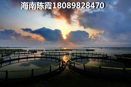 依山云锦醉新房价消息