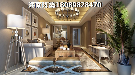 海口金泰龙步行街·商厦房价还能涨多少？