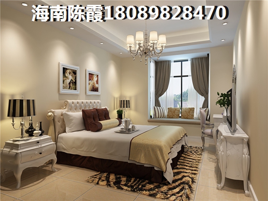 海南海口市“候鸟”是否可以买？