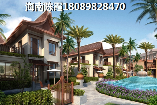 乐东九所将来还有哪些生纸空间