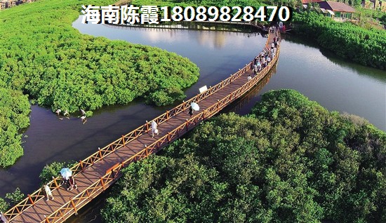 海口奥林匹克花园位置好不好？