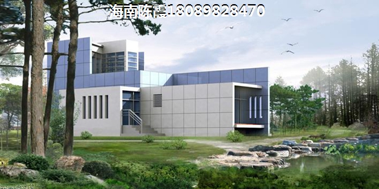 东方八所镇哪些项目纸得买？