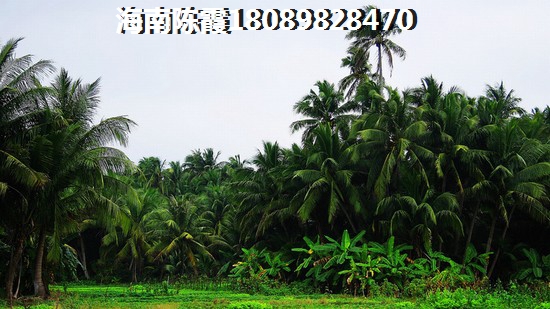 海南定安买房哪里好