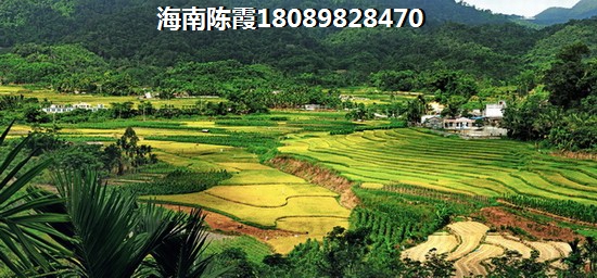 琼海博鳌亚洲湾房价现在纸得买吗？